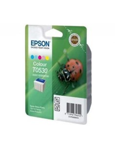 CARTUCHO EPSON S020110-S020193 ORIGINAL