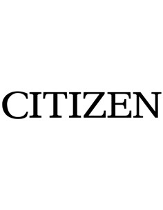 CINTA CITIZEN IR91