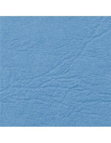 TAPA DIN A-4 CARTON 250 MICRAS AZUL