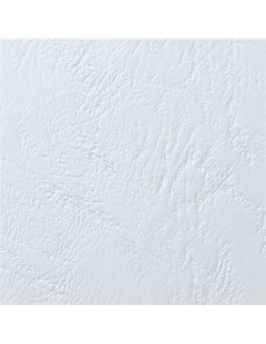 TAPA DIN A-4 CARTON 250 MICRAS BLANCO