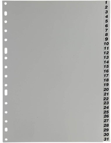 SEPARADOR FOLIO PLASTICO 1-31