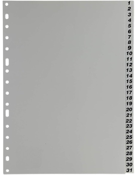 SEPARADOR FOLIO PLASTICO 1-31