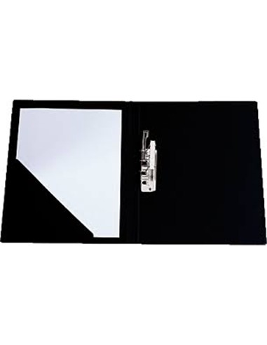 CARPETA PINZA LATERAL FOLIO