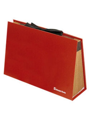 CARPETA FUELLE CUARTO CARTON