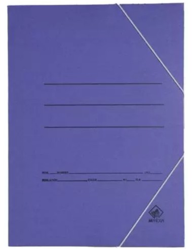 CARPETA DE GOMA FOLIO CARTON