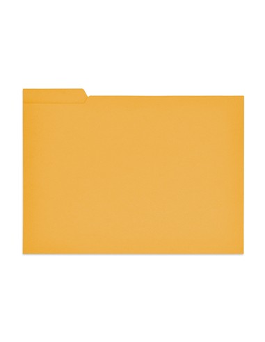 SUBCARPETA PESTAÑA FOLIO NARANJA