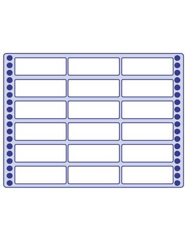 ETIQUETA ADHESIVA 101X23 S-2