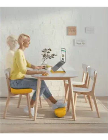 REPOSAPIES LEITZ ERGO COSY