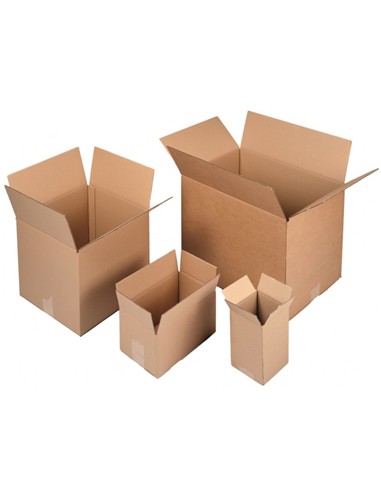 CAJA EMBALAJE 400x290x220