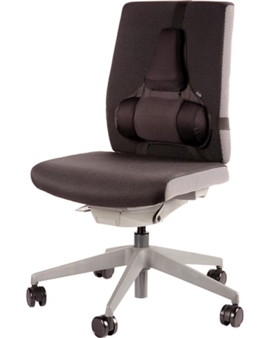 COJIN LUMBAR ERGONOMICO PROFESIONAL
