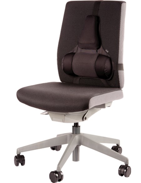 COJIN LUMBAR ERGONOMICO PROFESIONAL