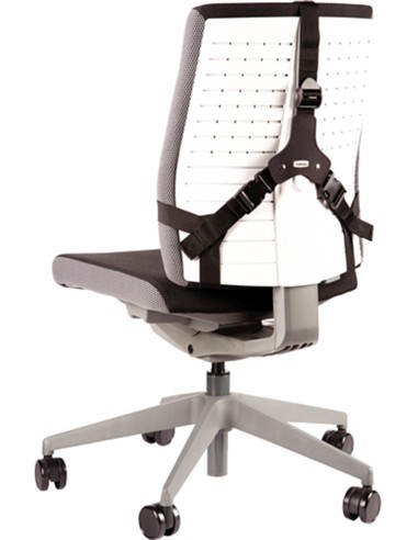 COJIN LUMBAR ERGONOMICO PROFESIONAL