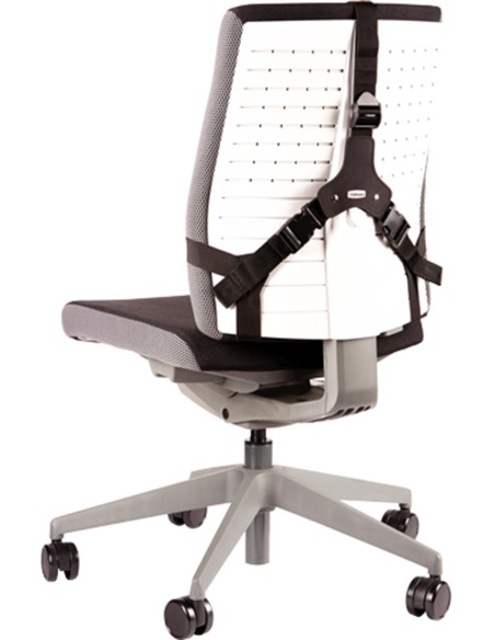 COJIN LUMBAR ERGONOMICO PROFESIONAL