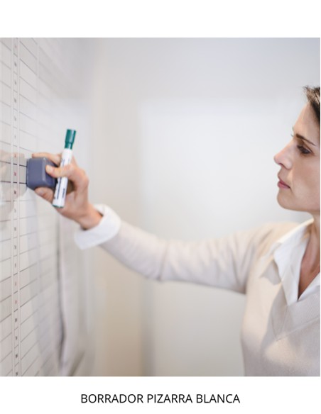 BORRADOR PIZARRA ROTULADOR STANDAR
