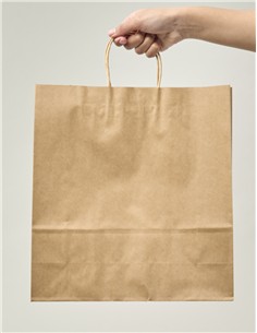 BOLSA PAPEL KRAFT ASA 23x18x8 4 unid. 2