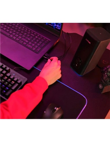 ALTAVOCES TRUST GXT 612 CETIC GAMING RGB 2.0 USB/W
