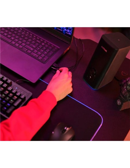 ALTAVOCES TRUST GXT 612 CETIC GAMING RGB 2.0 USB/W