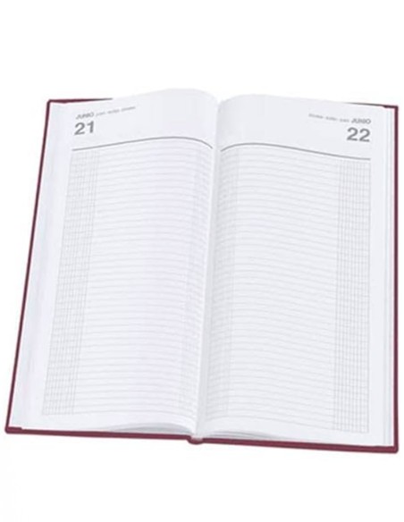 DIETARIO FOLIO 2/3 2026