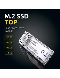 DISCO DURO SSD INTENSO 512GB M.2 2280 SATA 2