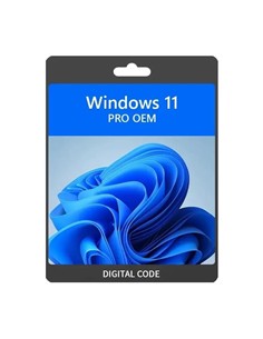 WINDOWS 11 PROFESSIONAL 64 BITS OEM NO DVD