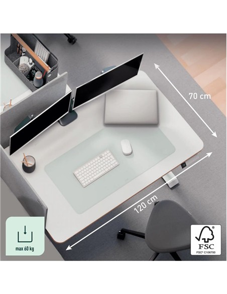 MESA ELECTRICA LEITZ 120x70 cm