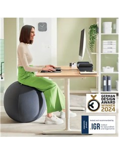 BALON ASIENTO LEITZ 55 cm GRIS OSCURO 2