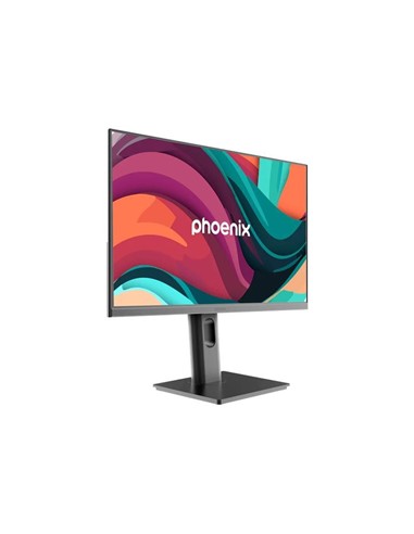 MONITOR PHOENIX ESSENCE 24 IPS 100HZ MULTIMEDIA ER