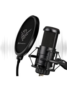 MICROFONO PHOENIX PROFESIONAL + BRAZO ARTICULADO + 2
