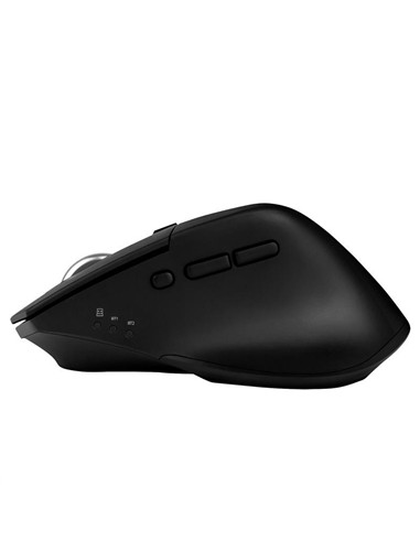 RATON PHOENIX ERGO-M2 1600DPI WIRELESS ERGONOMIC B