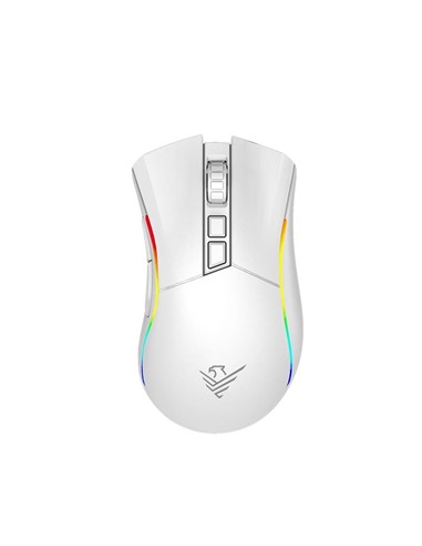 RATON PHOENIX GAMING VOID ELITE WIRELESS RGB 19000