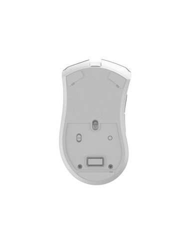 RATON PHOENIX GAMING VOID ELITE WIRELESS RGB 19000