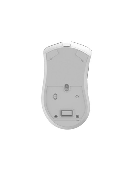 RATON PHOENIX GAMING VOID ELITE WIRELESS RGB 19000