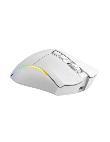 RATON PHOENIX GAMING VOID ELITE WIRELESS RGB 19000