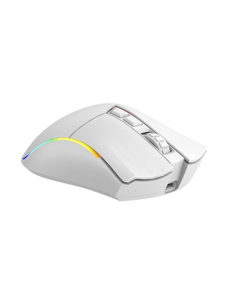 RATON PHOENIX GAMING VOID ELITE WIRELESS RGB 19000