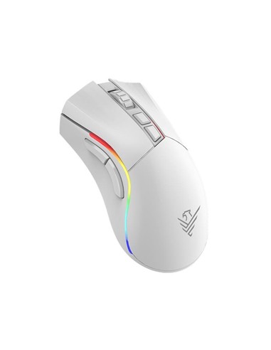 RATON PHOENIX GAMING VOID ELITE WIRELESS RGB 19000