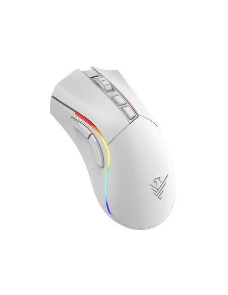 RATON PHOENIX GAMING VOID ELITE WIRELESS RGB 19000