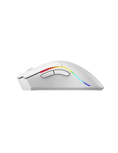 RATON PHOENIX GAMING VOID ELITE WIRELESS RGB 19000