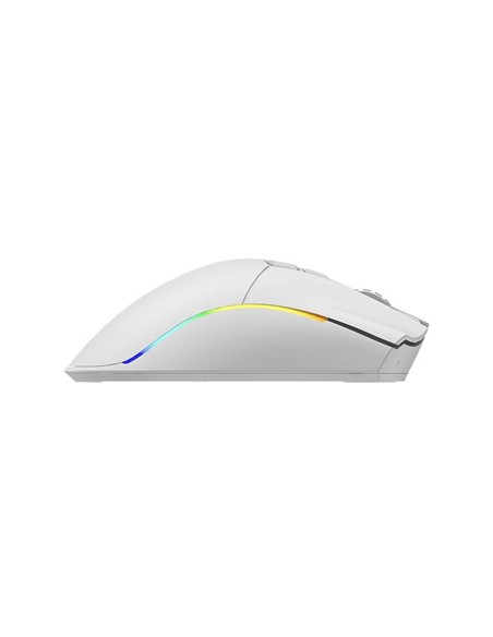 RATON PHOENIX GAMING VOID ELITE WIRELESS RGB 19000