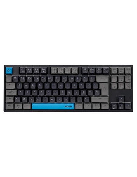 TECLADO PHOENIX ROYAL GAMING MECANICO USB RGB BLAC