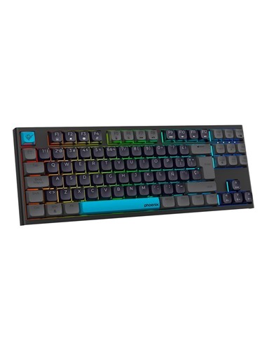 TECLADO PHOENIX ROYAL GAMING MECANICO USB RGB BLAC