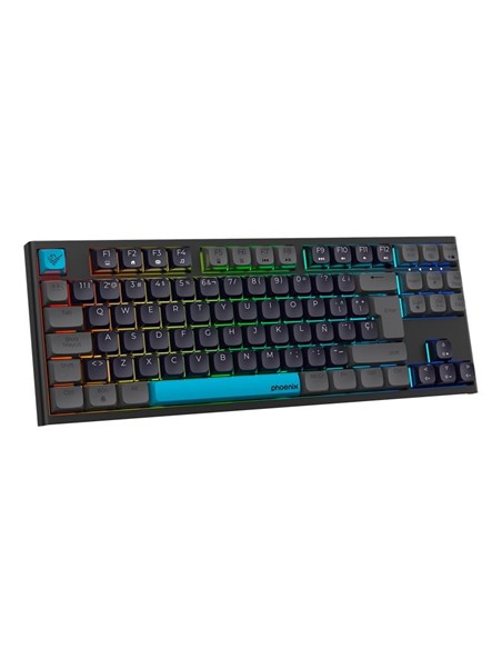 TECLADO PHOENIX ROYAL GAMING MECANICO USB RGB BLAC