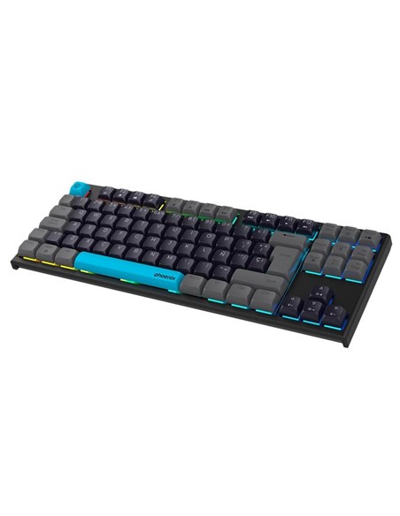 TECLADO PHOENIX ROYAL GAMING MECANICO USB RGB BLAC