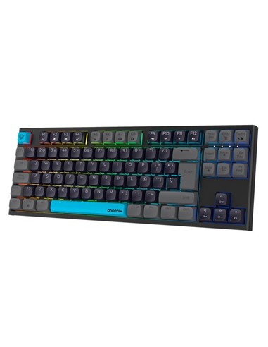TECLADO PHOENIX ROYAL GAMING MECANICO USB RGB BLAC