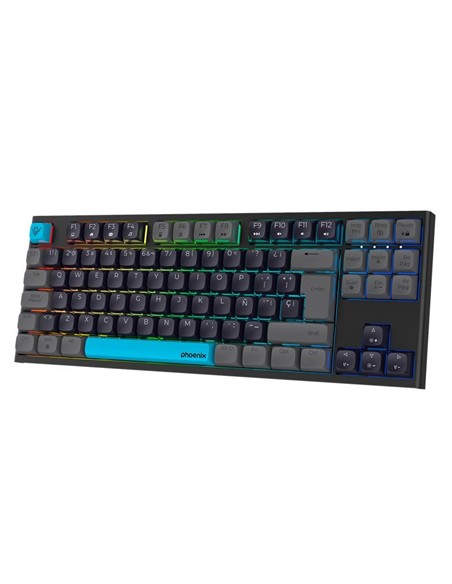 TECLADO PHOENIX ROYAL GAMING MECANICO USB RGB BLAC