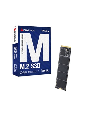 DISCO DURO SSD BIOSTAR M760 256GB NVME M.2 2280 PC