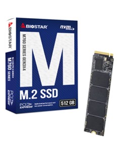 DISCO DURO SSD BIOSTAR M760 512GB NVME M.2 2280 PC