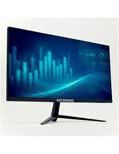 MONITOR ENTERPRISE EASY-VIEW 22 FULL-HD 100HZ VGA