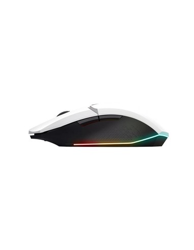 RATON TRUST GAMING GXT 110 FELOX RGB WIRELESS 4800